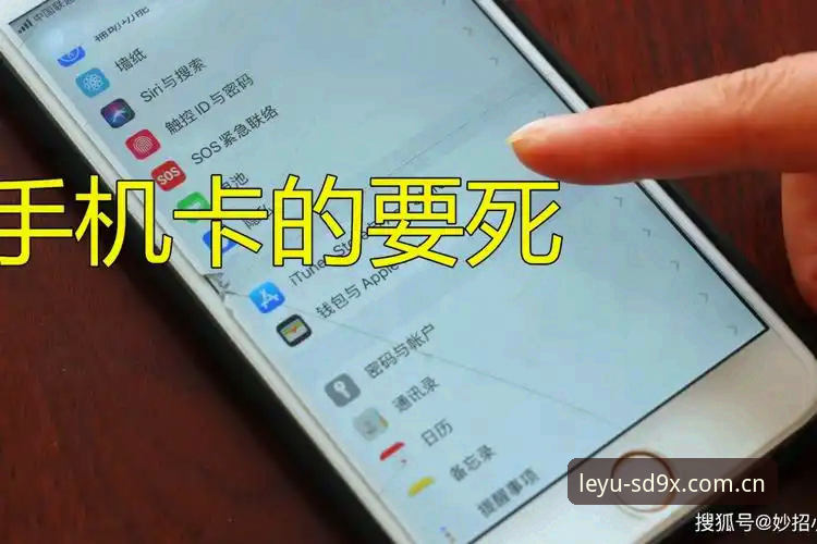 乐鱼中国区下载攻略 乐鱼中国区下载攻略:从卡顿到流畅,一个篮球迷的48小时实测记录